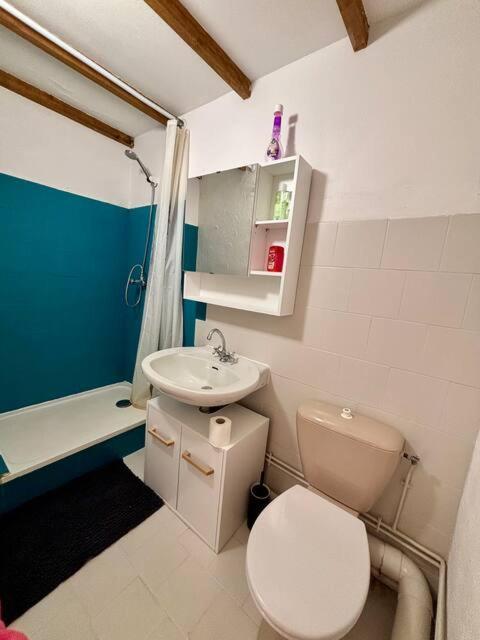 Studio Au Chateau De Lachau Екстер'єр фото